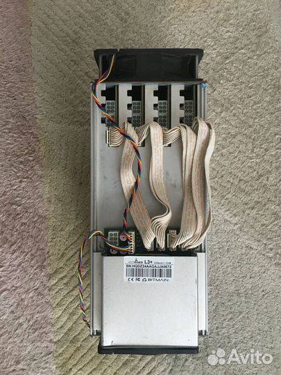 Asic Antminer L3++