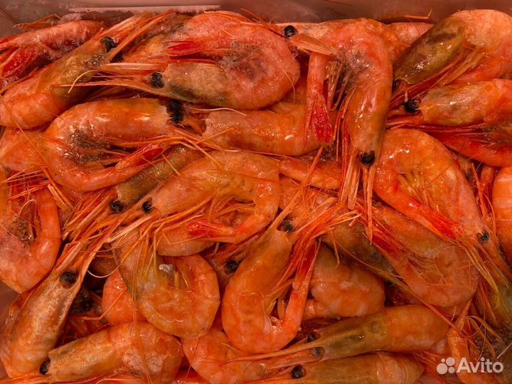 Креветка северная. Свежемороженая оптом