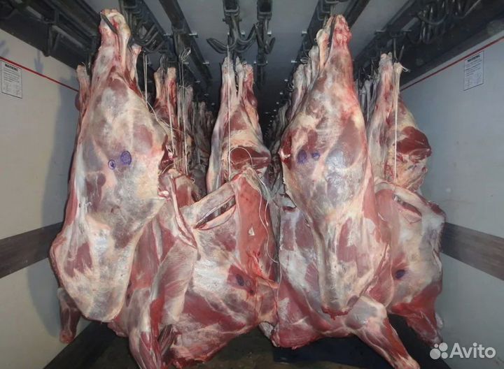 Мясо молодой говядины