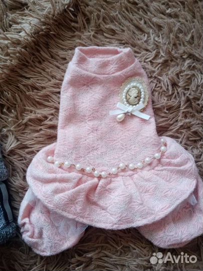 Вещи для собаки,кошки