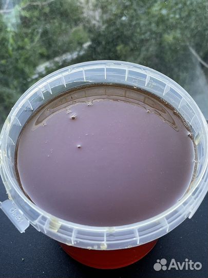 Мёд натуральный, качка 2023