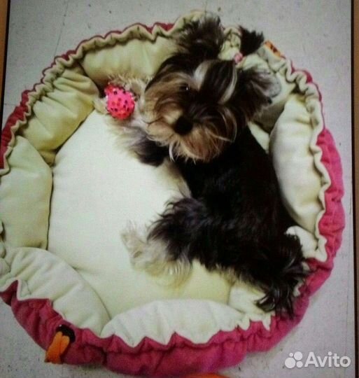 Лежанка для собак и кошек