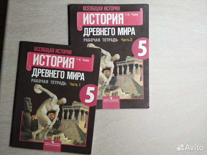 Рабочие тетради 2, 5,6 класс