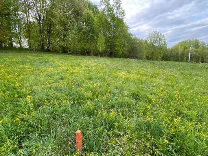 Участок 11 сот. (ИЖС)