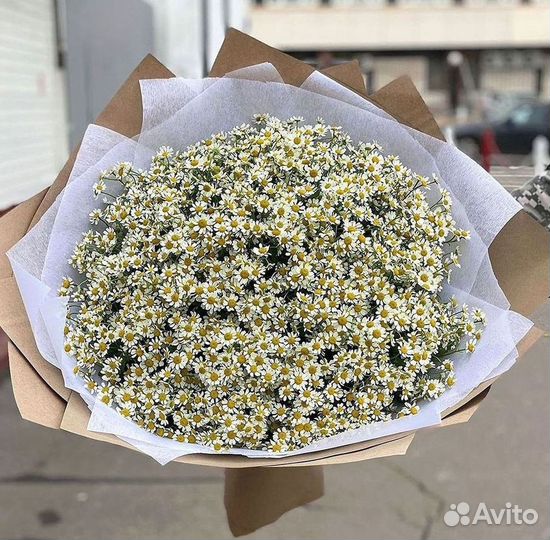 Ромашки Пионы Розы Доставка