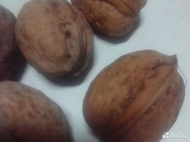 Грецкий орех в скорлупе