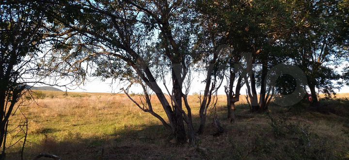 Участок 7 сот. (ИЖС)