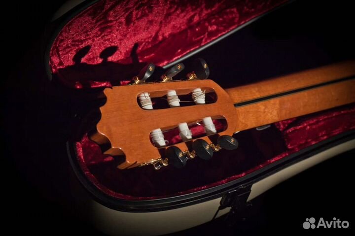 Акустическая гитара Alcora 205