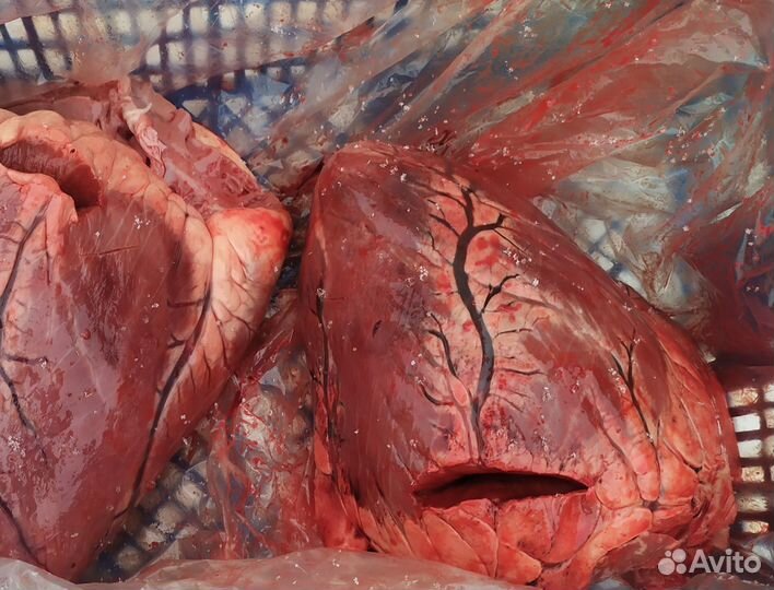 Мясо и кости для собак