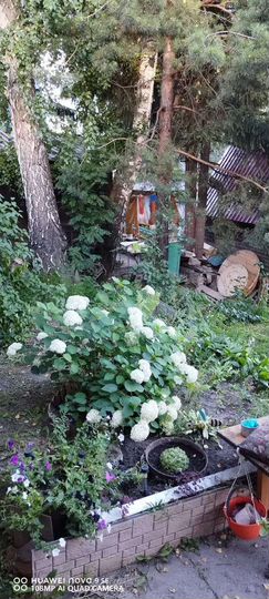 Дом 25 м² на участке 6 сот.