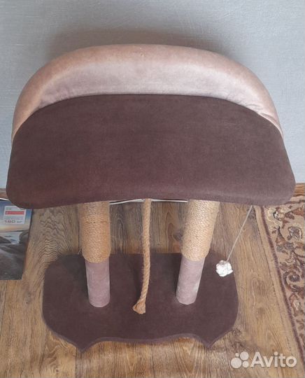 Когтеточка