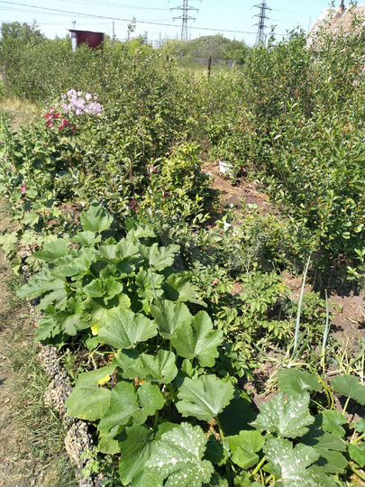 Дача 10 м² на участке 6 сот.