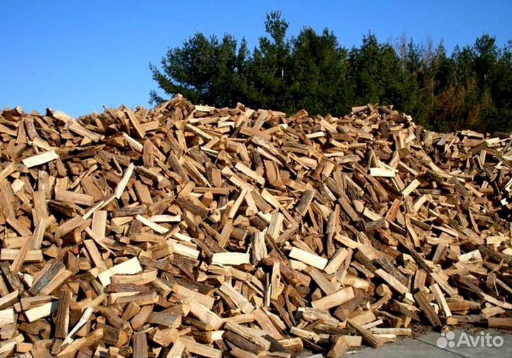Дрова образцовые