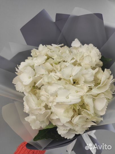 Букет из белой гортензия, цветы доставка