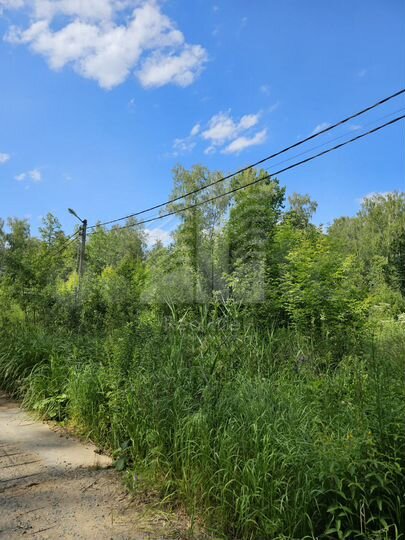 Участок 23,8 сот. (ИЖС)