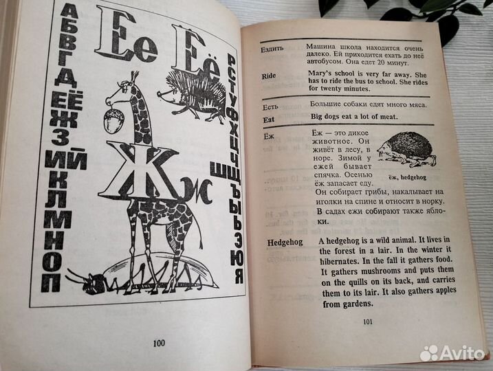 Англо-русский русско-английский словари карманный