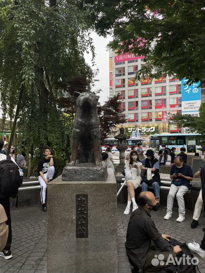 Японский язык