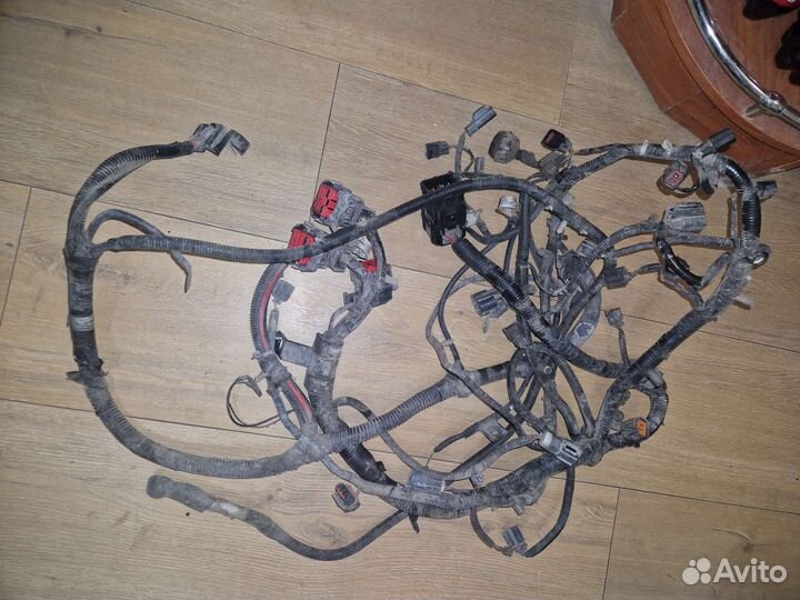 Моторная коса форд escape 2005 год