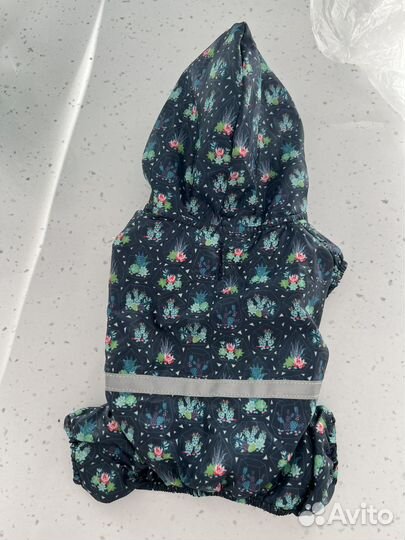 Одежда для маленьких собак