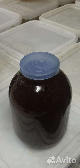 Meд с гречки и с aкации