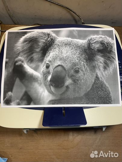 Принтер лазерный xerox 3140