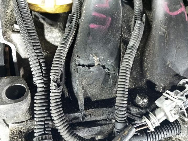 Двигатель Renault Megane