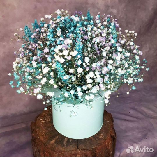 Цветы гипсофилы