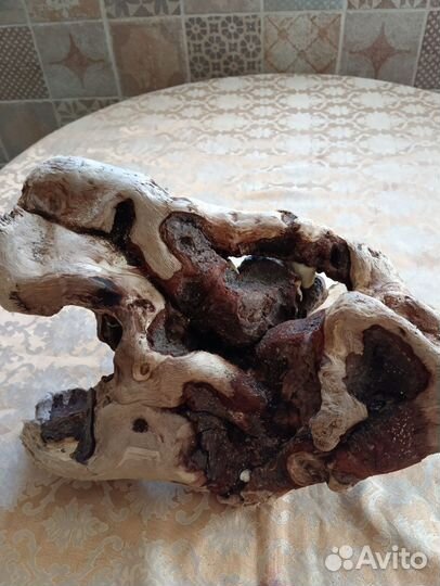 Коряги дрифтвуд