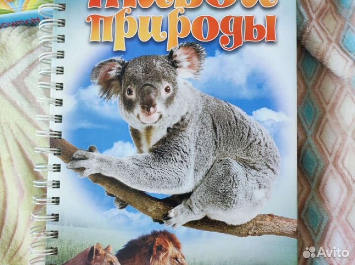 Детские книги, энциклопедия