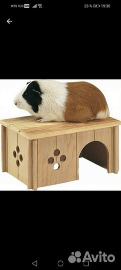 Домик для грызуна