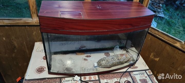 Аквариум бу