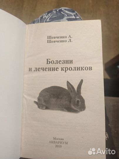 Болезни и лечение кроликов
