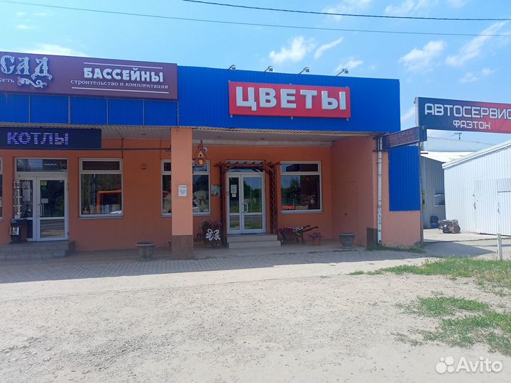 Магазин цветов и подарков в развитом районе