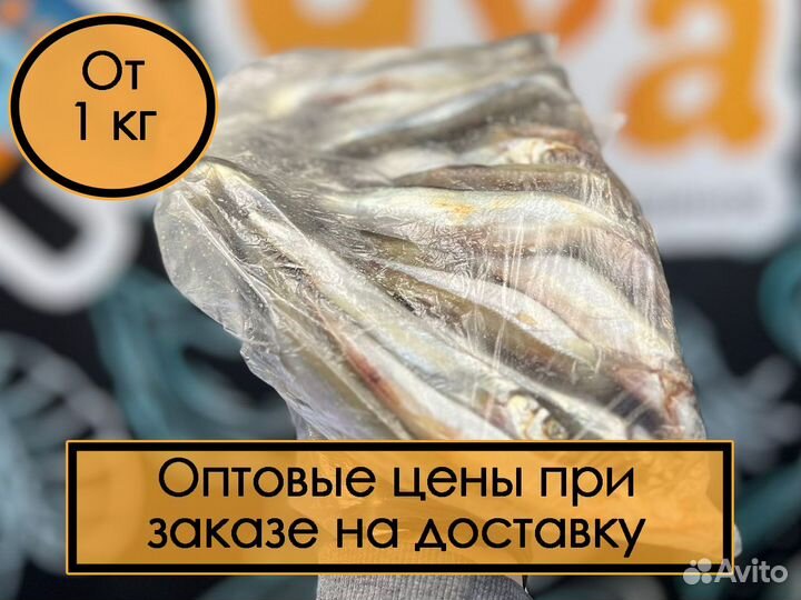 Рыба мойва, килька, салака. Доставка по городу