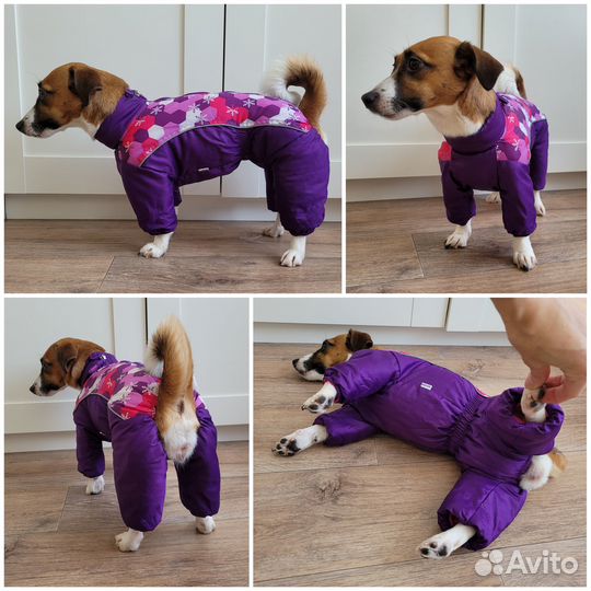 Шлейка, Комбинезон для маленькой собаки/щенка/кошк