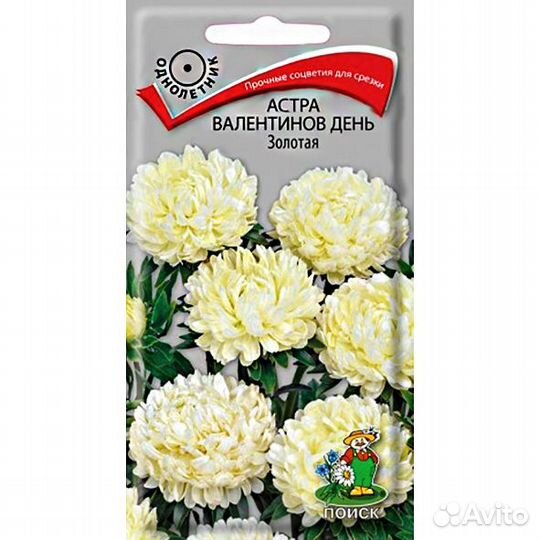 Астра Валентинов день Золотая