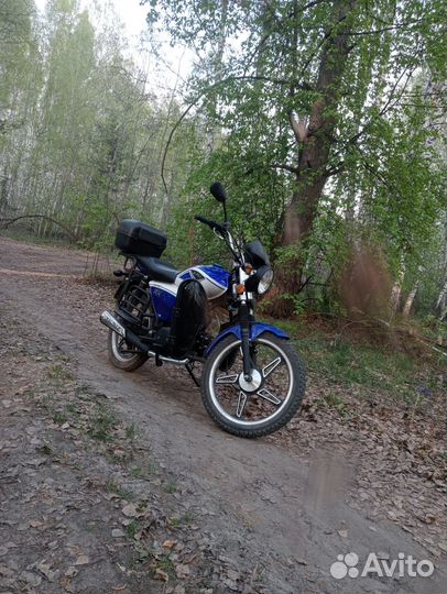 Мопед альфа рх11 люкс