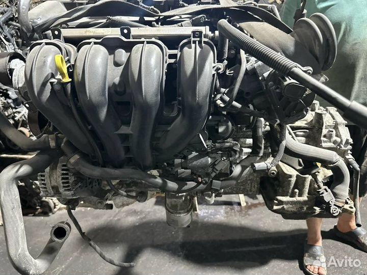 Двигатель Ford Focus aoda 2.0