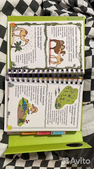 Скажи мне сколько Книга энциклопедия