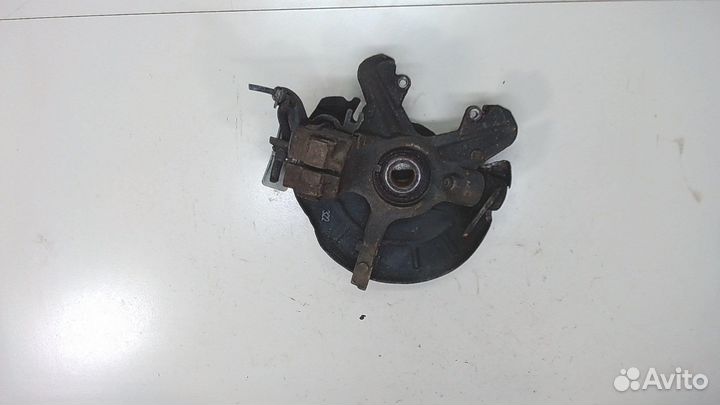 Ступица (кулак, цапфа) Seat Cordoba 2, 2006