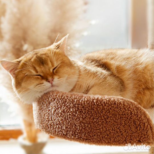 Игровой комплекс для кошек с когтеточкой и домиком