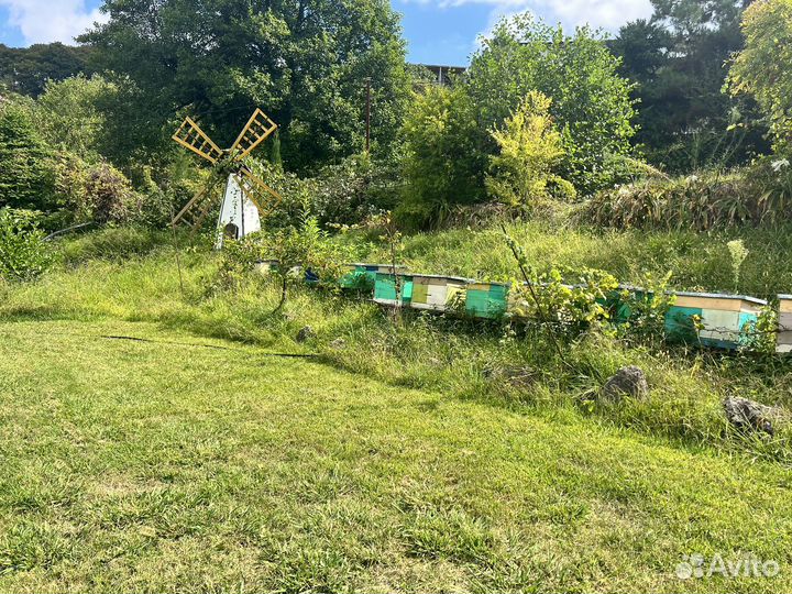 Экскурсия-дегустация 