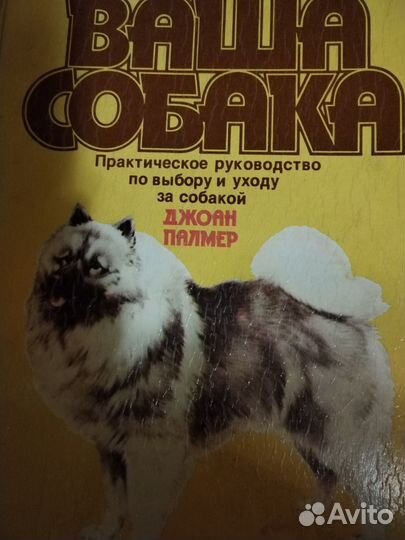 Руководство по уходу за собакой