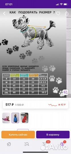 Костюм для собаки