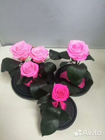 Роза в колбе