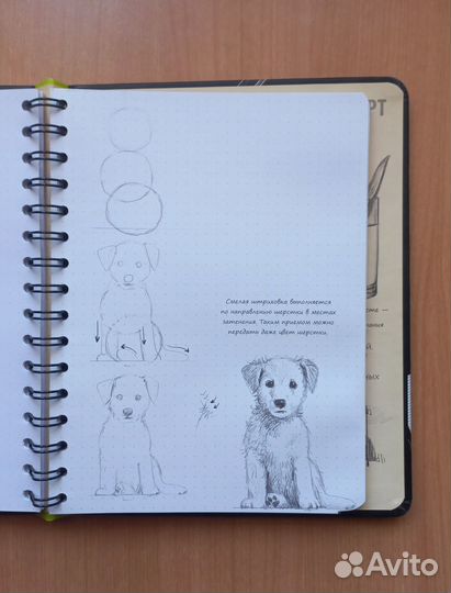 Обучающий скетч-бук