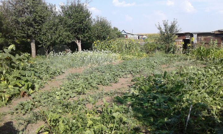 Участок 28 сот. (ИЖС)