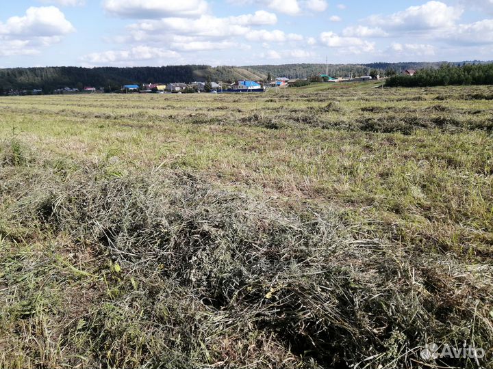 Сено в рулонах