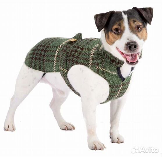 Одежда для собак: пальто шотландка