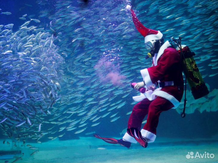 Новогодний тур в Египет